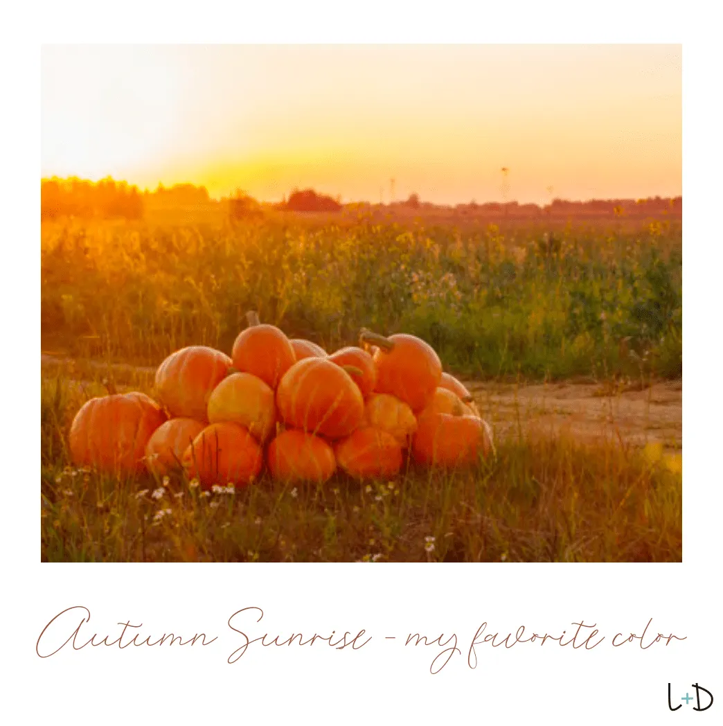 Autumn Daze Beaded Bangle Bracelet