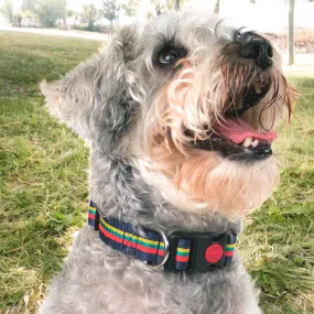 Corps Coloured Clip Dog Collar