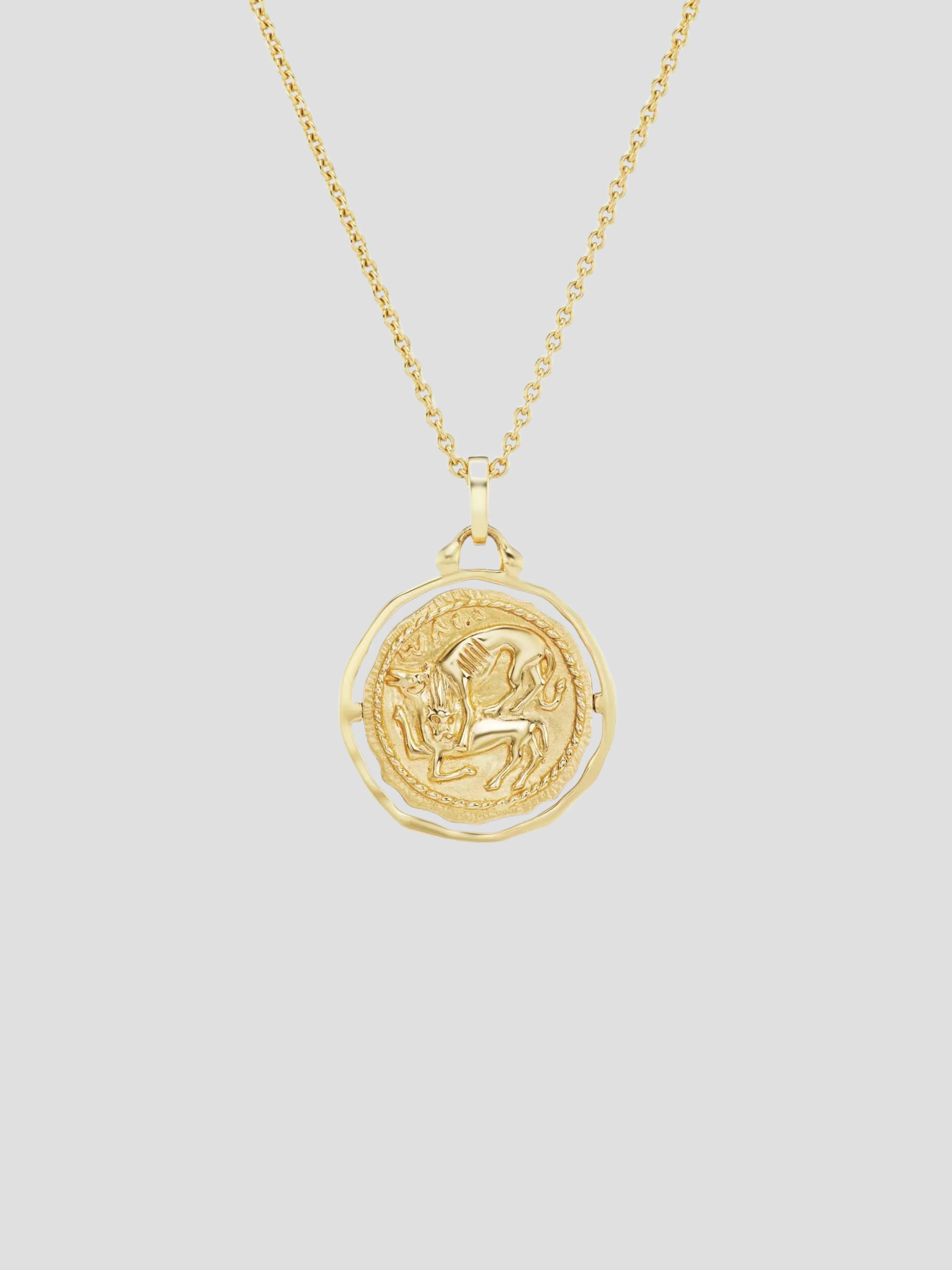 Hippocamp Amulet Necklace